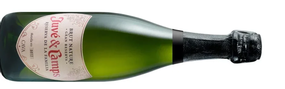 Brindis con burbujas para todos 0