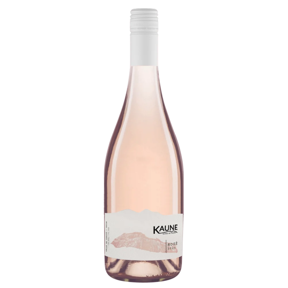 Vinos chilenos para fin de año: nuevas cepas, nuevos estilos 1