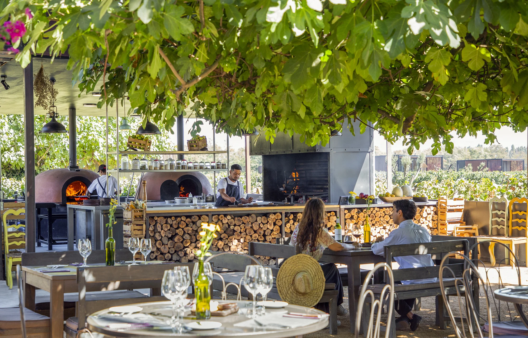 Rayuela: naturaleza y memoria en el imaginario de Maira Ramos 1