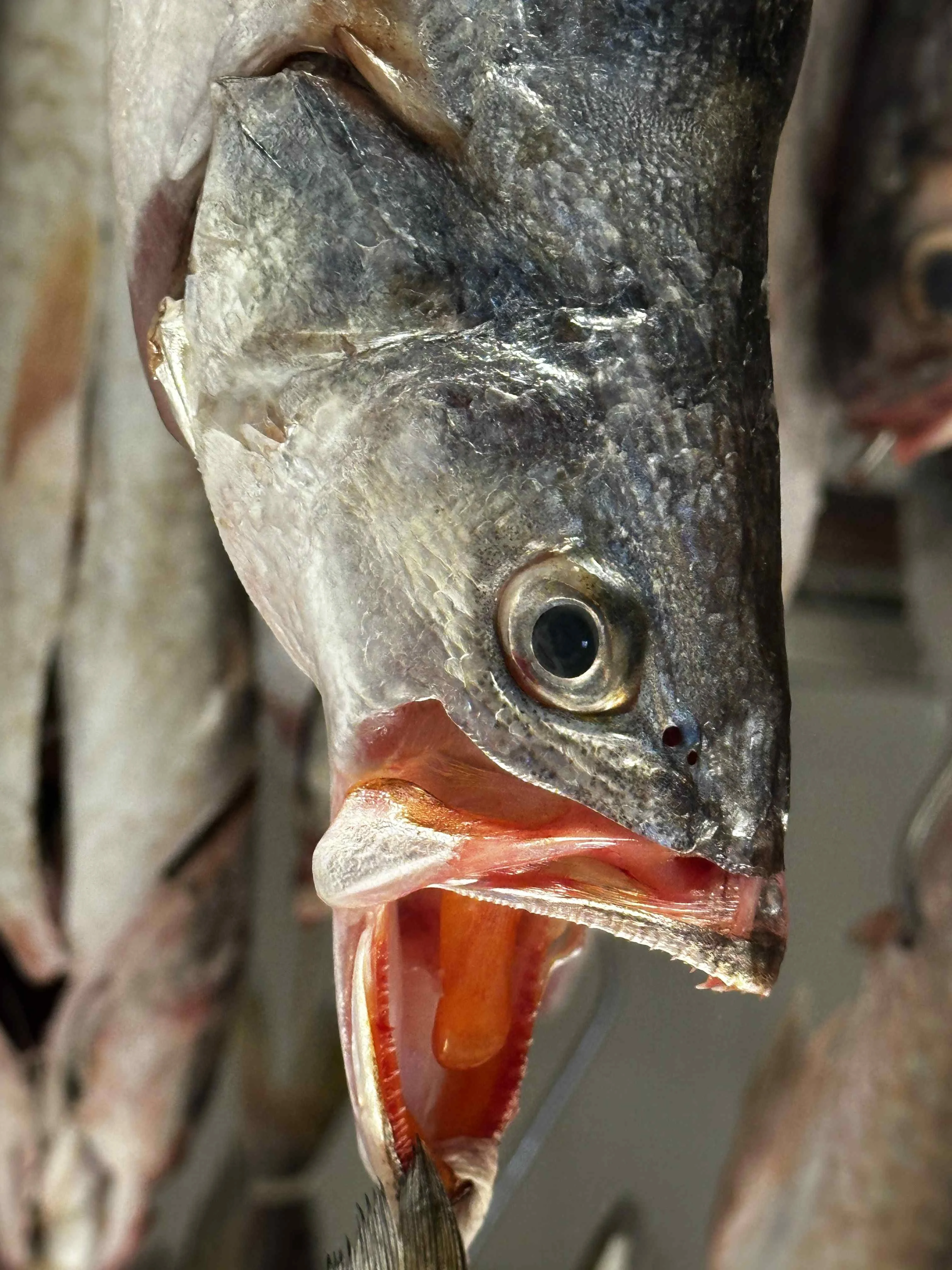 Jeito carioca: el espíritu de Río de Janeiro (I) 5