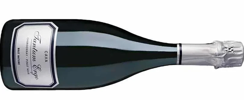 Brindis con burbujas para todos 3