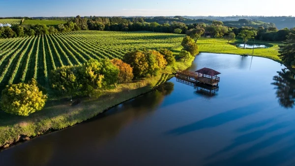 Paisaje de la DO Alto Bandeira