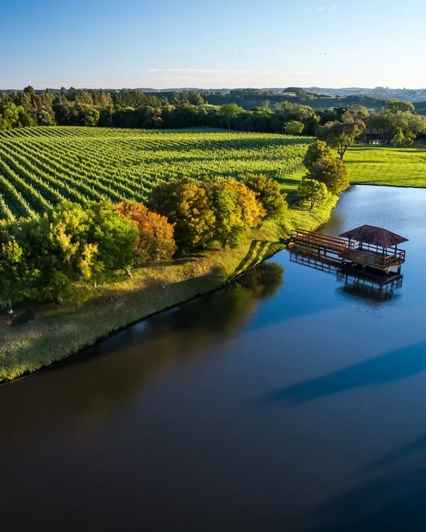 Paisaje de la DO Alto Bandeira