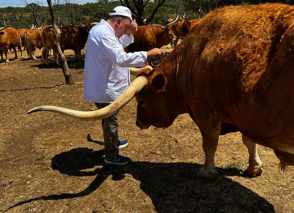 El ganadero y restaurador José Gordón, con uno de sus animales.