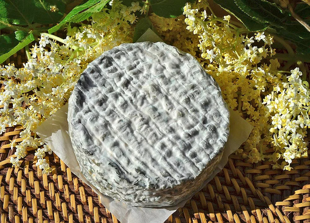 Queso de cabra de pasta blanda Carbonero, de la quesería artesana Quesos de Granadilla.