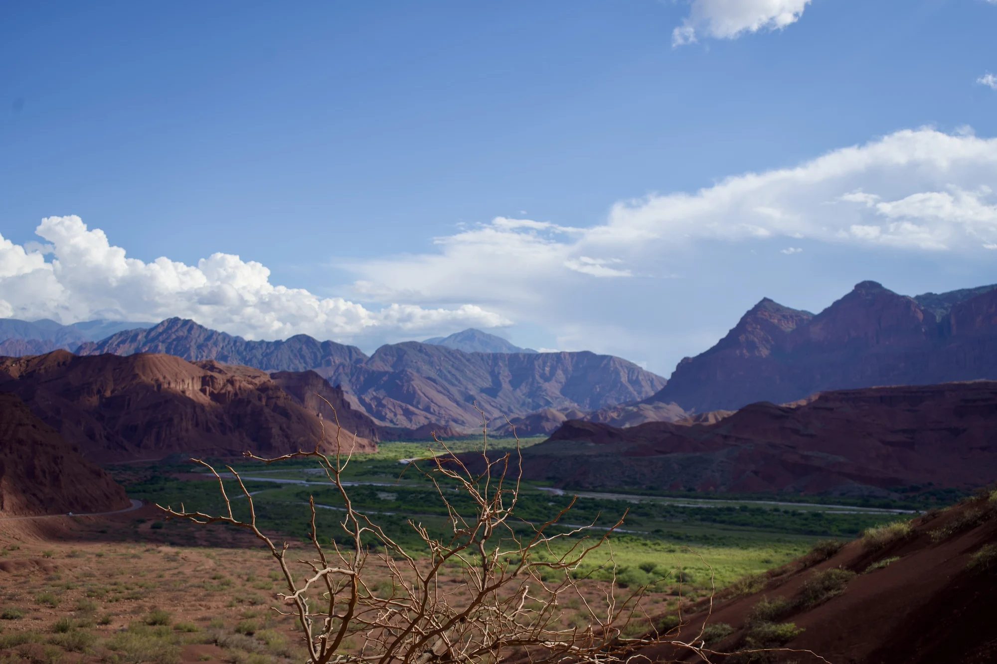 Paisaje de Cayafate, zona vinícola en Argentina