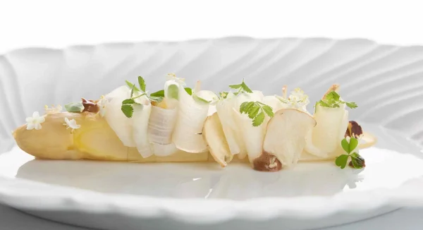 ESPARRAGOS PACO RONCERO