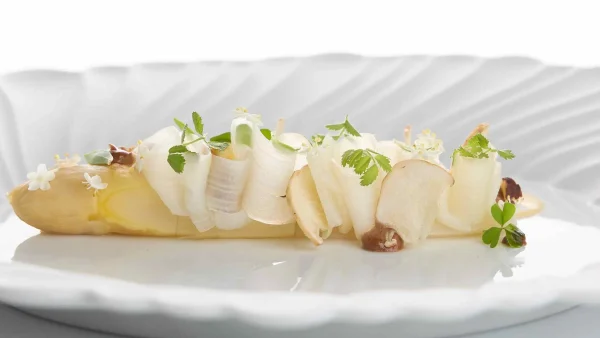 ESPARRAGOS PACO RONCERO