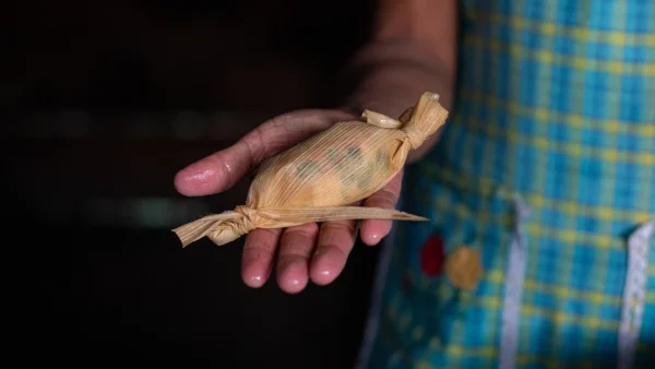 Tamal mexicano envuelto en hoja de maíz.