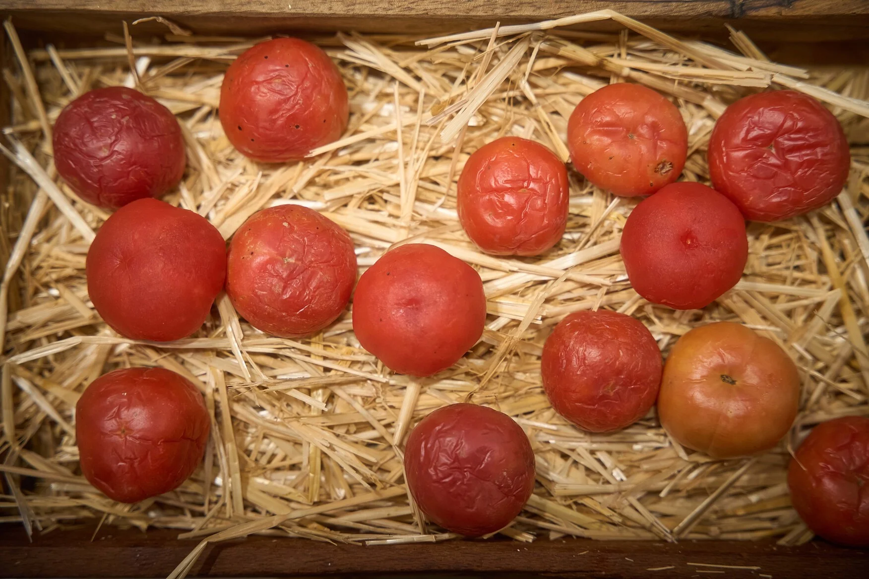 ¿El anisakis tiene los días contados? 3