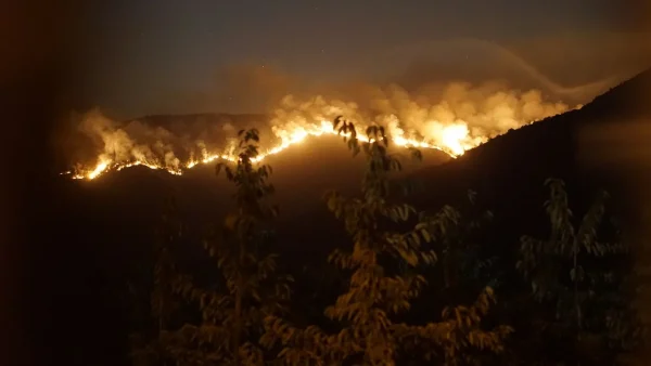 Incendio forestal en Chile