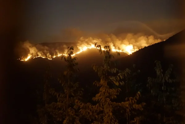 Incendio forestal en Chile