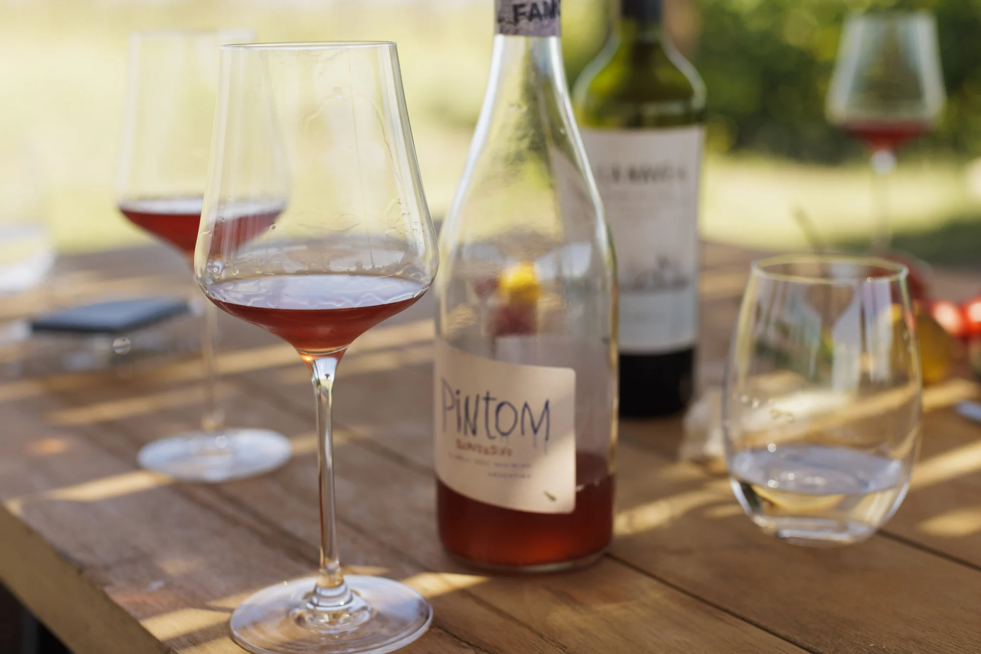 Botellas de vino de Canopus y copas sobre una mesa al aire libre.