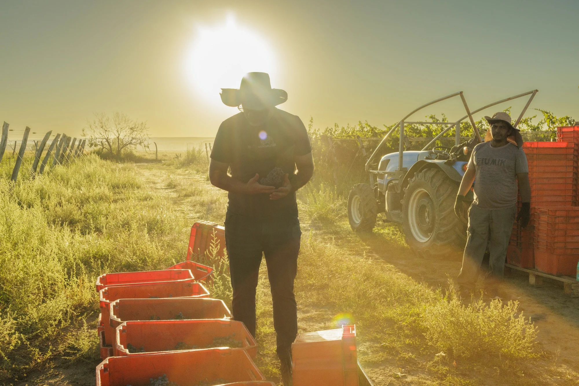 Gabriel Dvoskin en La finca Canopus
