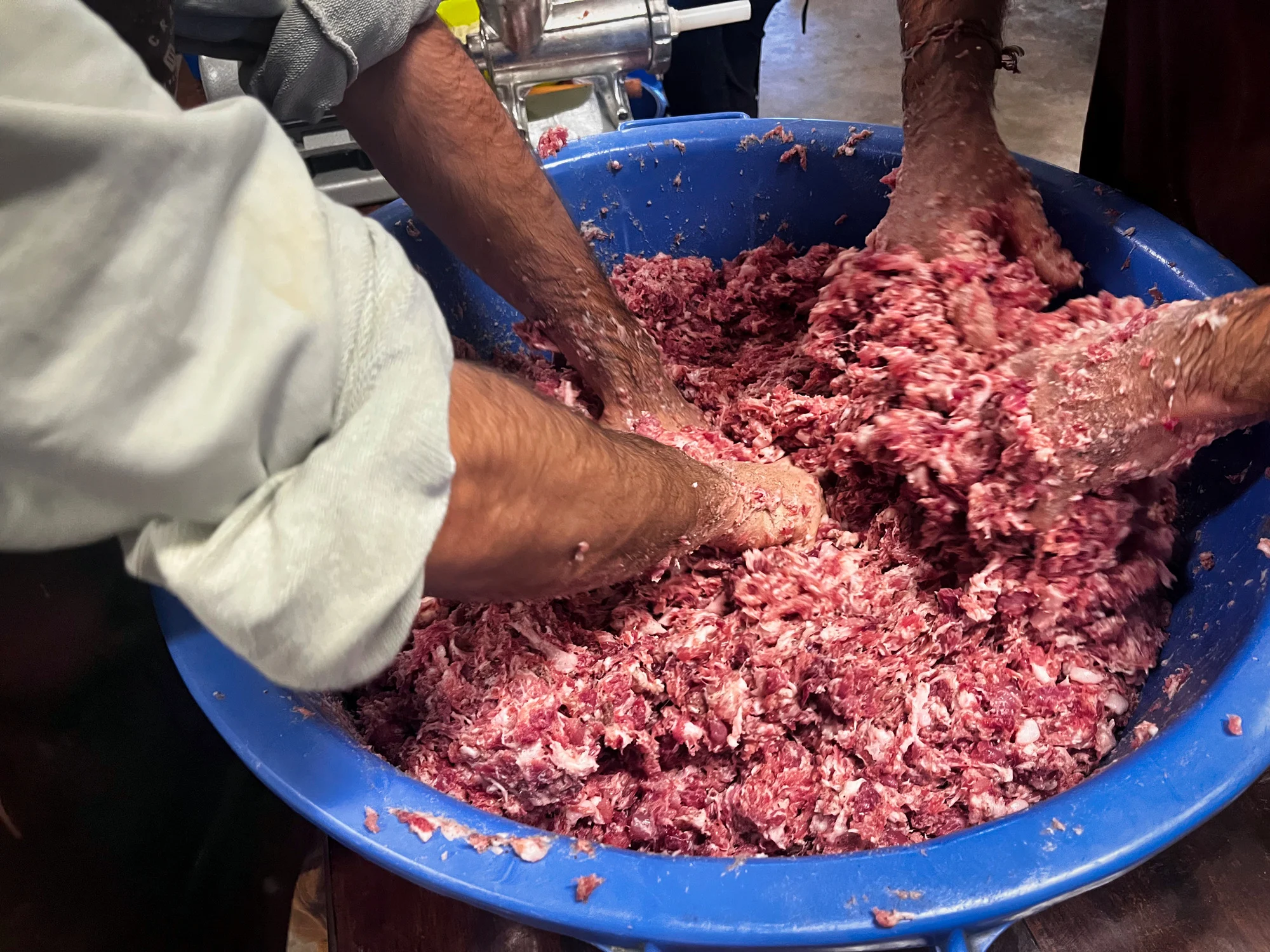 Amasando la mezcla del mandongo para la butifarra.