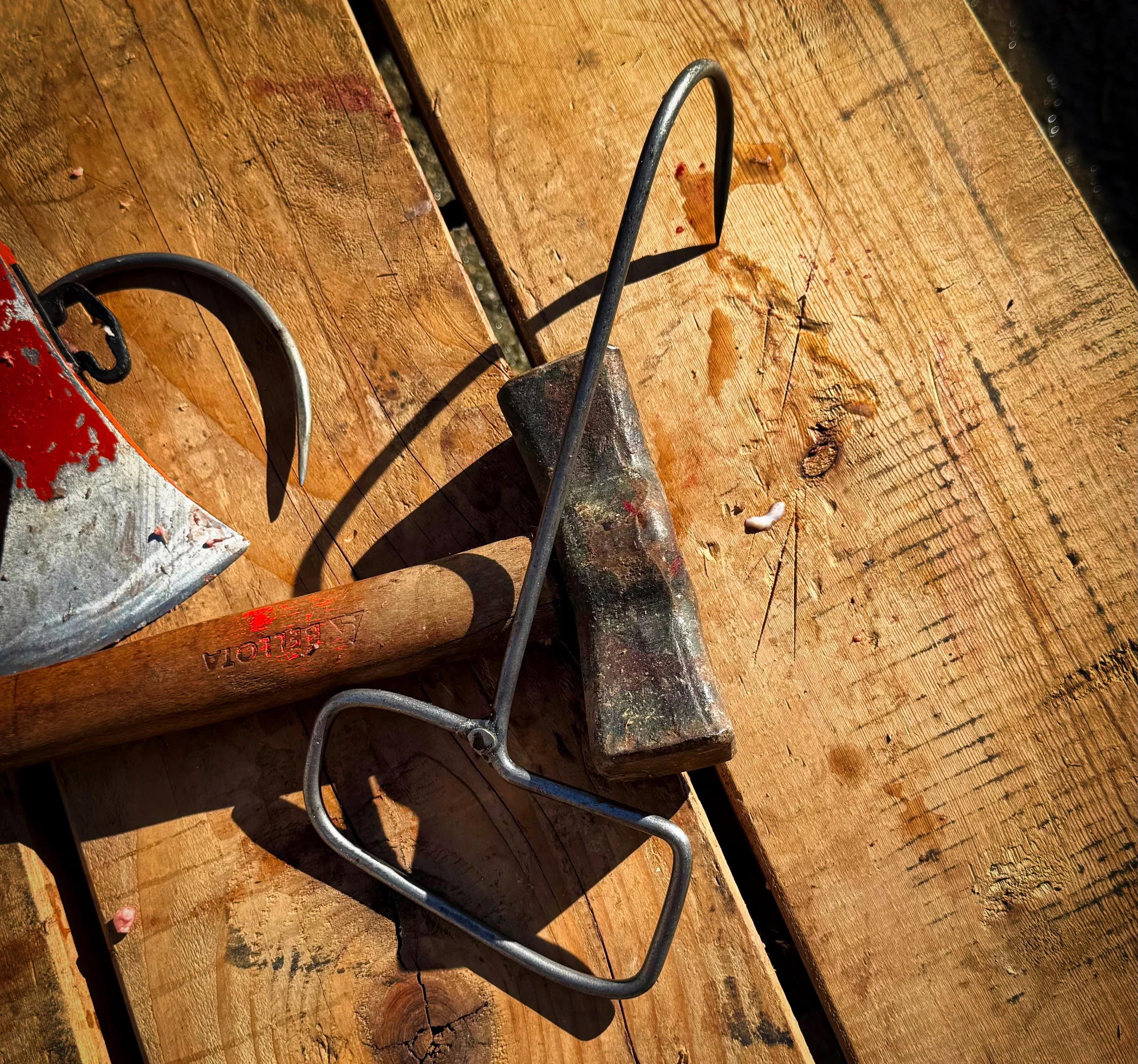 Las herramientas del matarife.