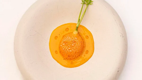 Escabeche: zanahoria – codorniz – vino dorado- Rest. Caleña