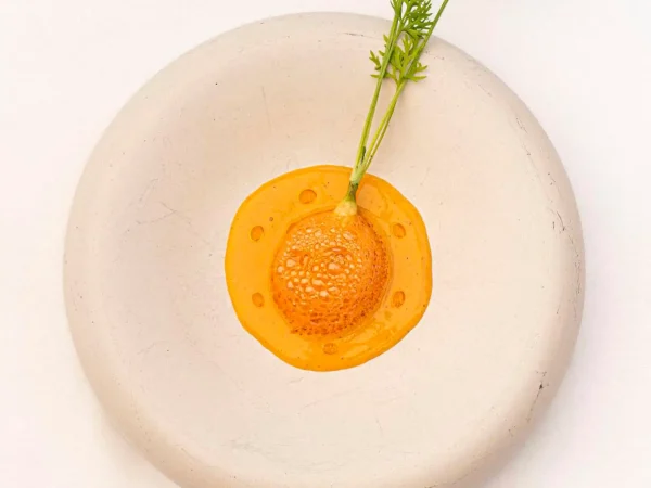 Escabeche: zanahoria – codorniz – vino dorado- Rest. Caleña