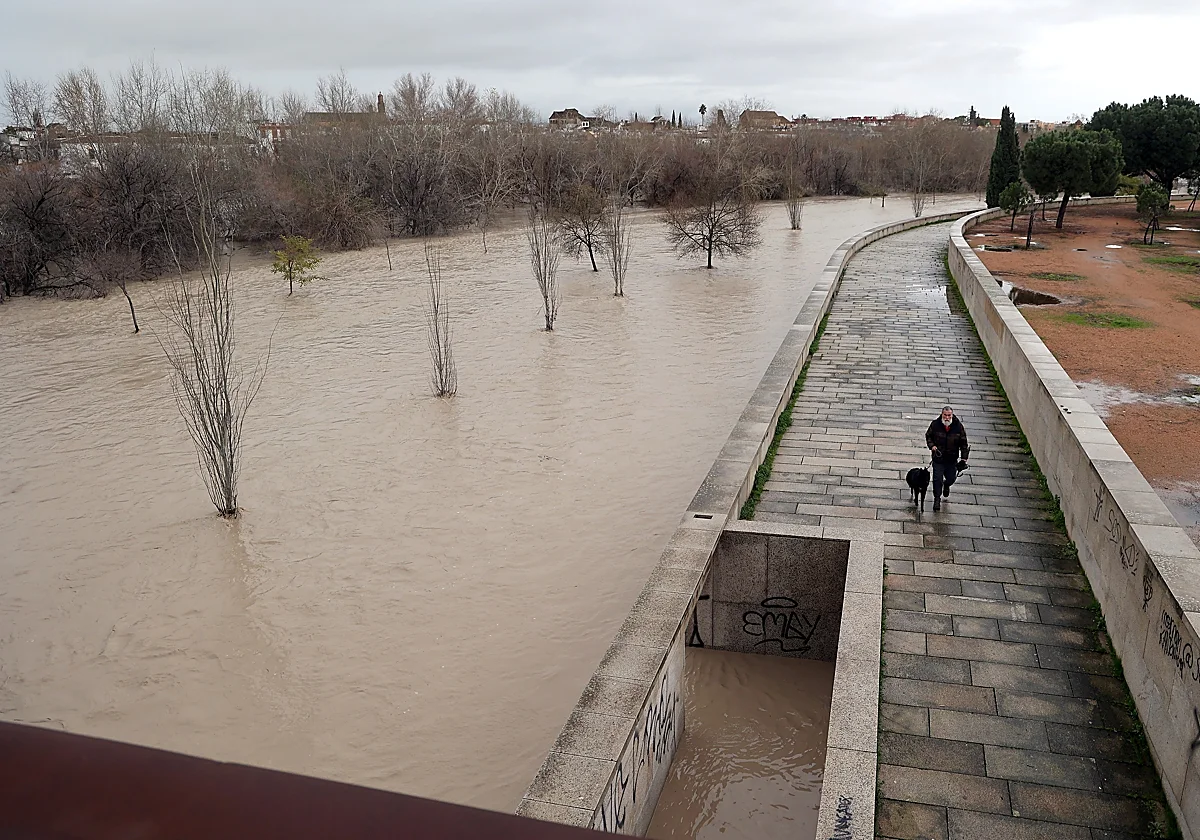 Córdoba, ciudad desierta