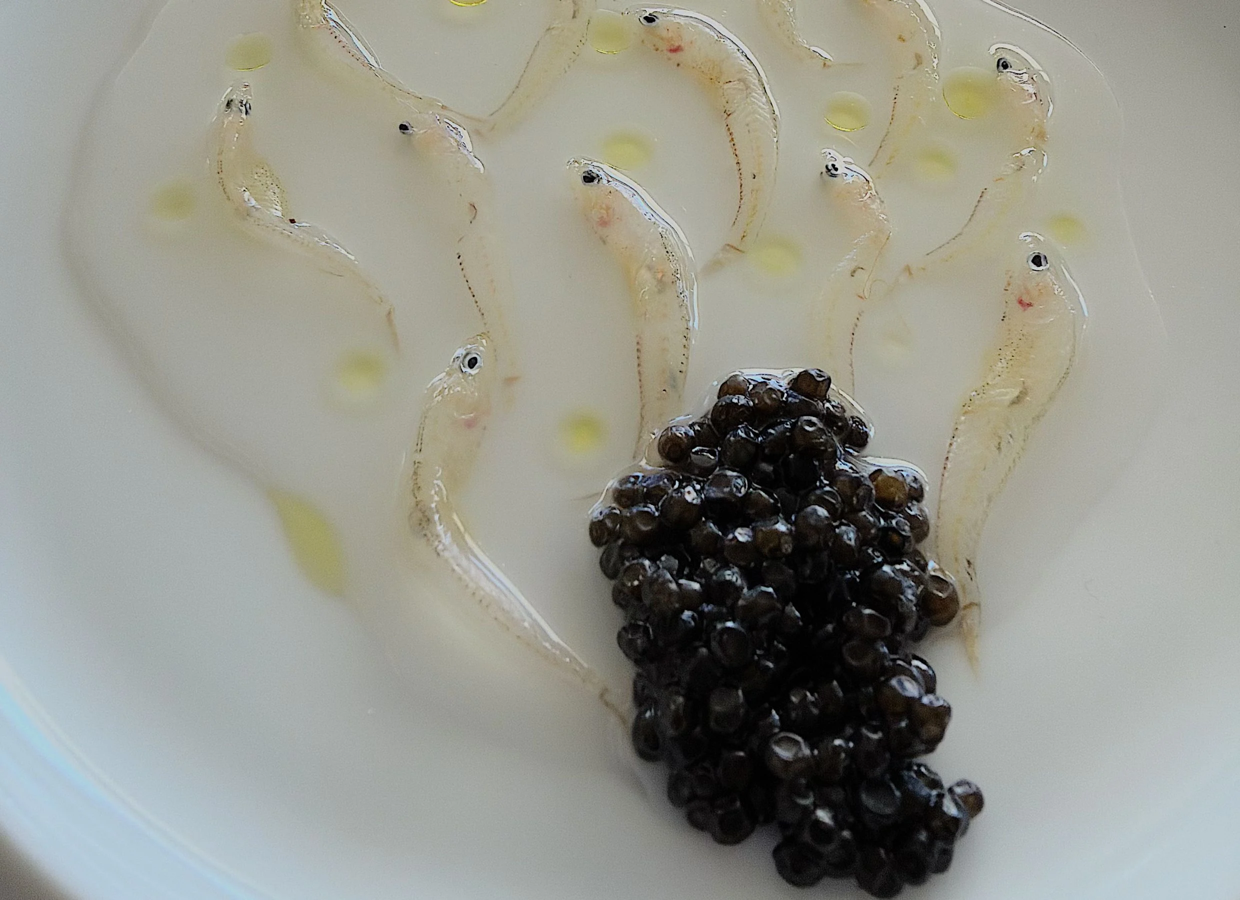 Colagreco y Adrià o la emoción del menú degustación 3