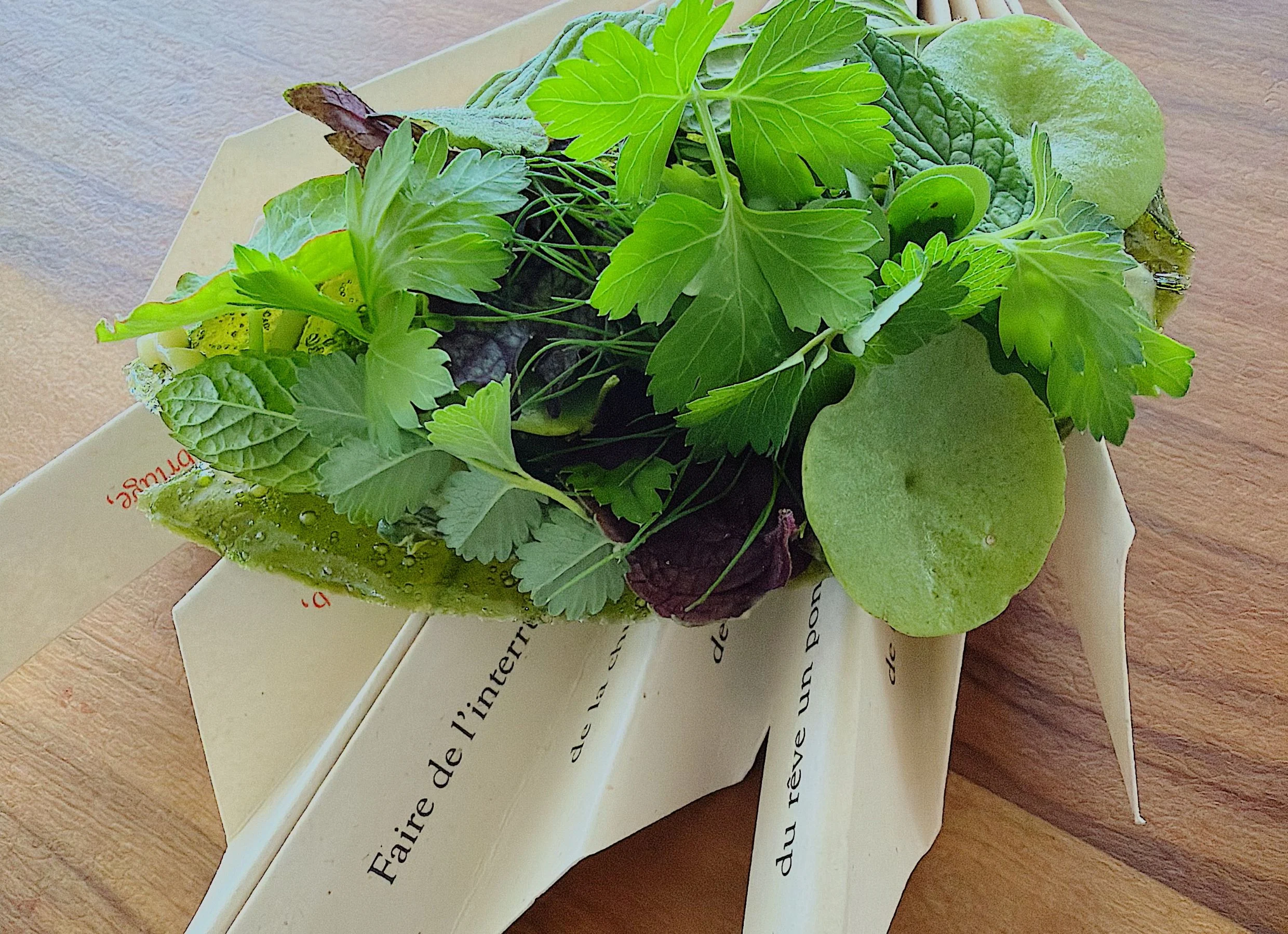 Colagreco y Adrià o la emoción del menú degustación 0