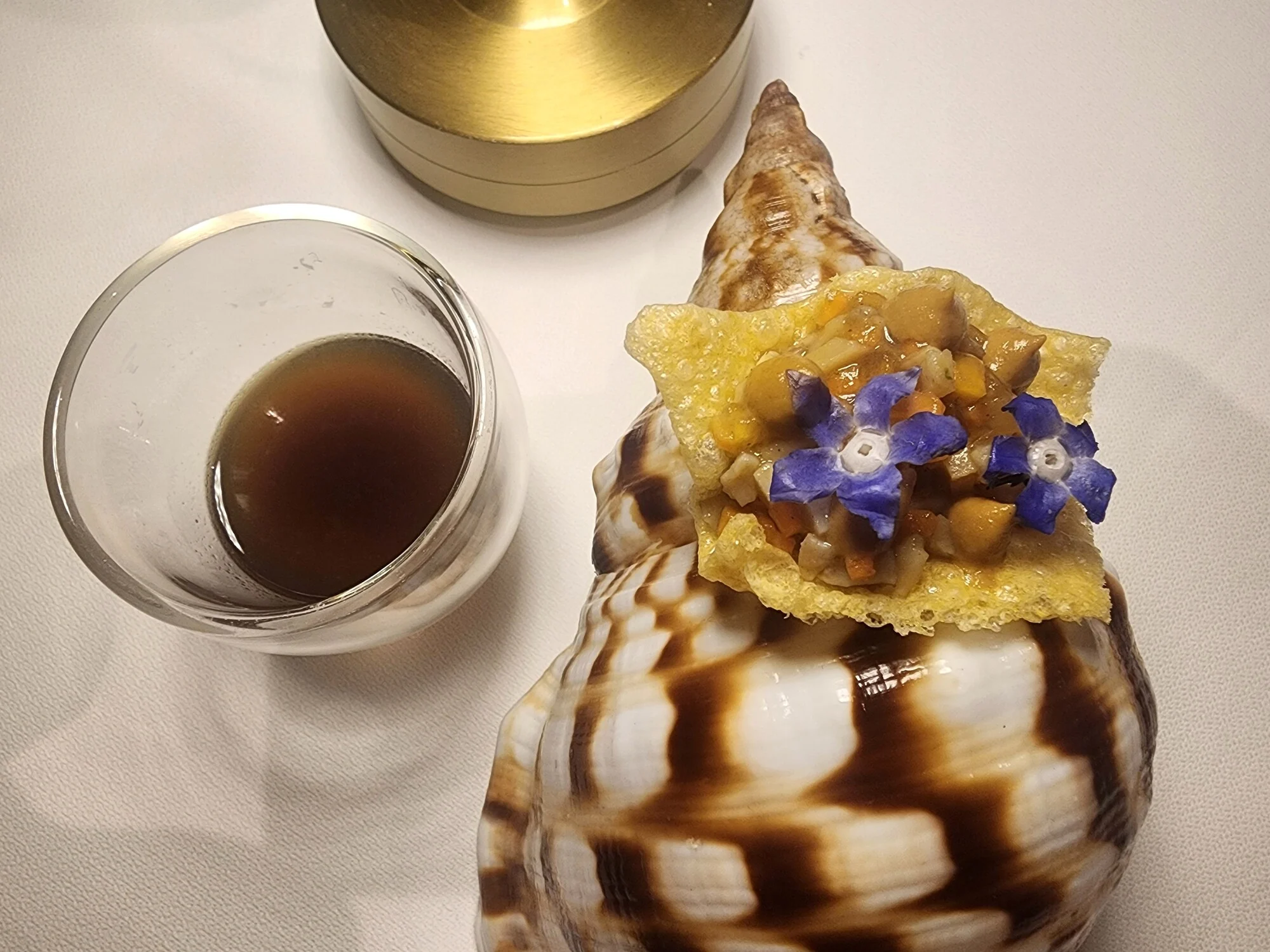 Caracol de mar y cherne