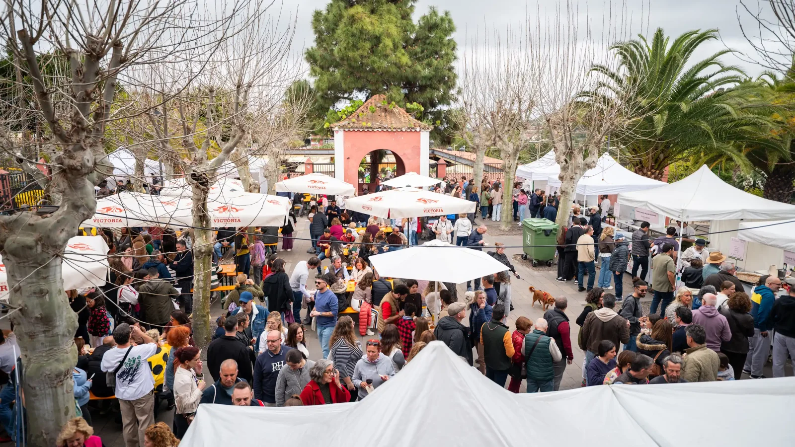 Jornada Popular Terrae 2026