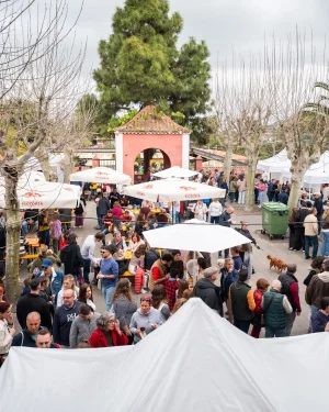 Jornada Popular Terrae 2026