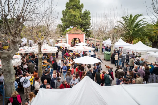 Jornada Popular Terrae 2026