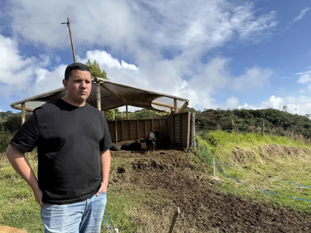 Miguel Warren con los cerdos sampedreños que cría