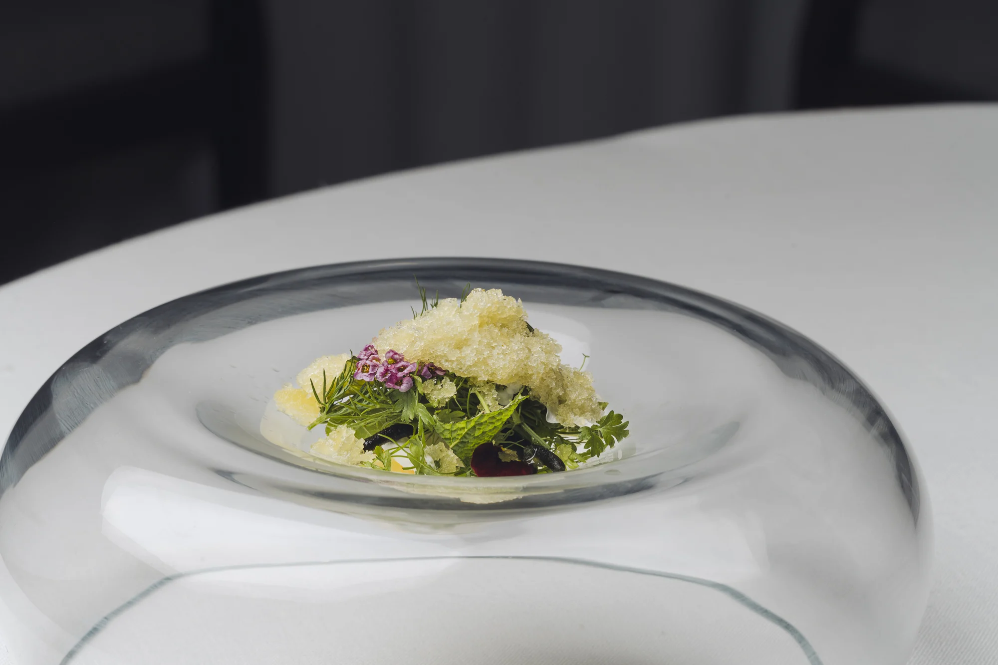 René ensalada, brotes, escarcha y limón