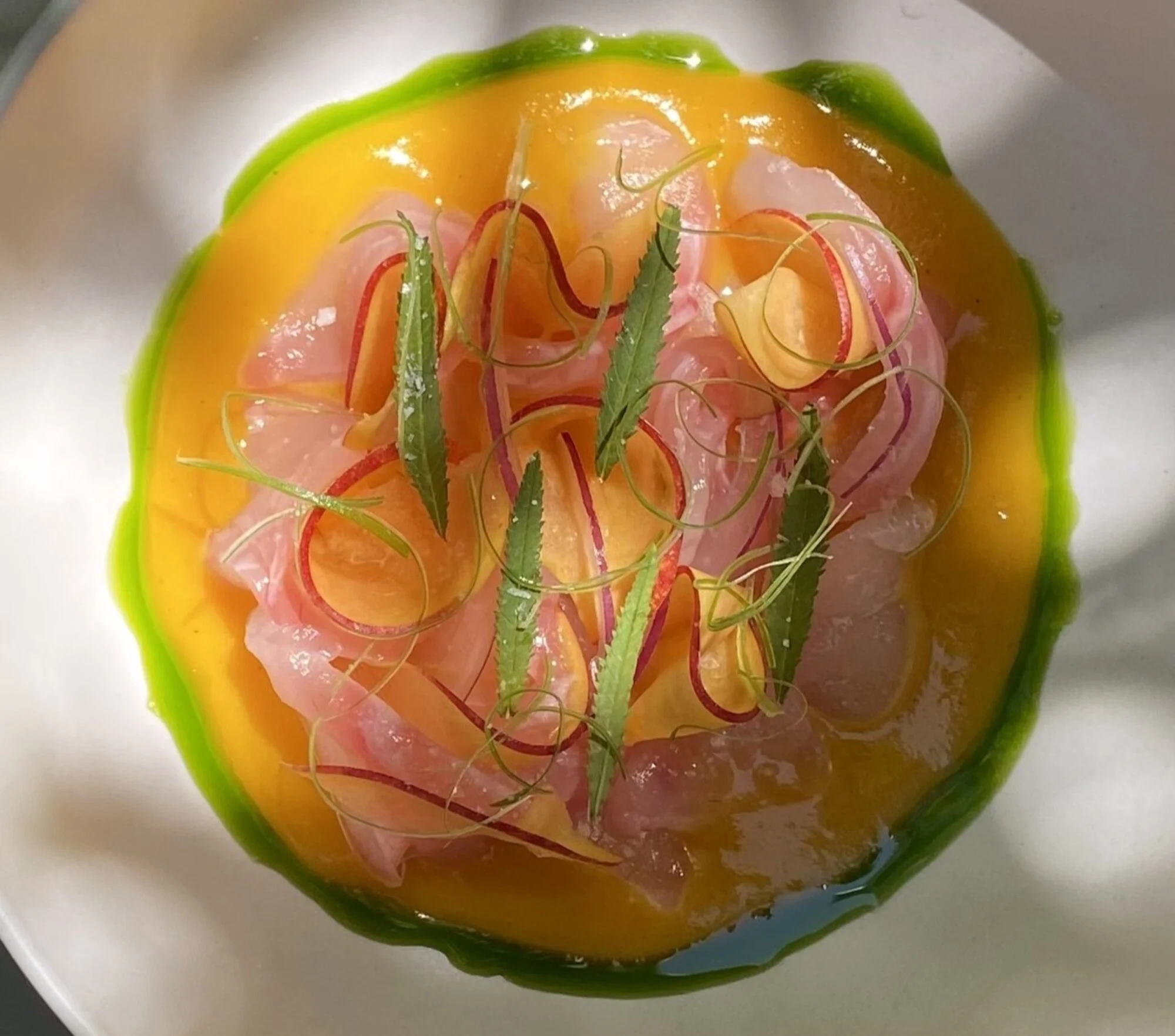 Tiradito, corvina, durazno fresco, salsa durazno lactofermentado y Huacatay