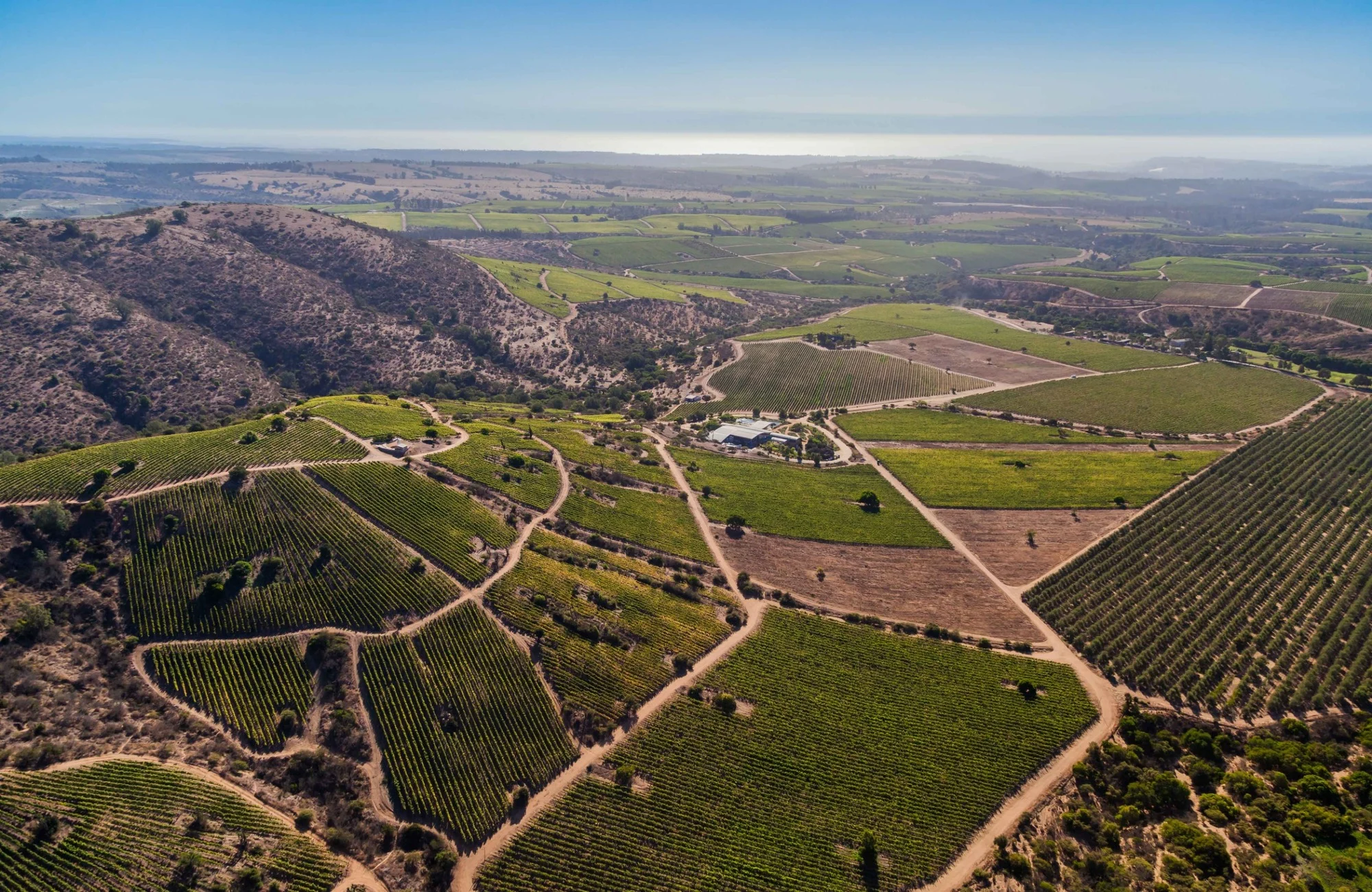 Viñedo Garcés Silva