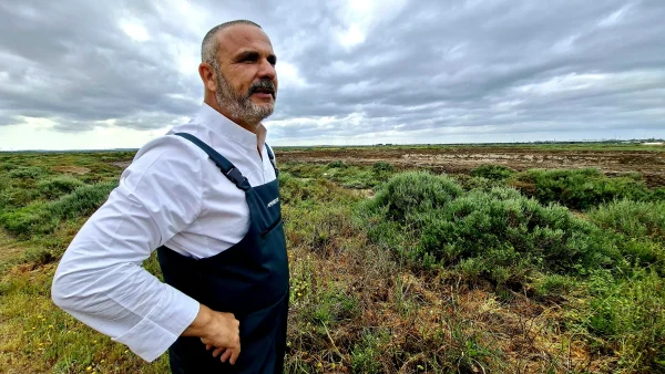 Aponiente 2026. Ángel León explica el ecosistema intermareal restaurado tras años de abandono y degradación. Durante años fue un arrabal industrial abandonado.