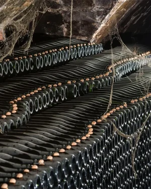 Bodega_general_espumosos