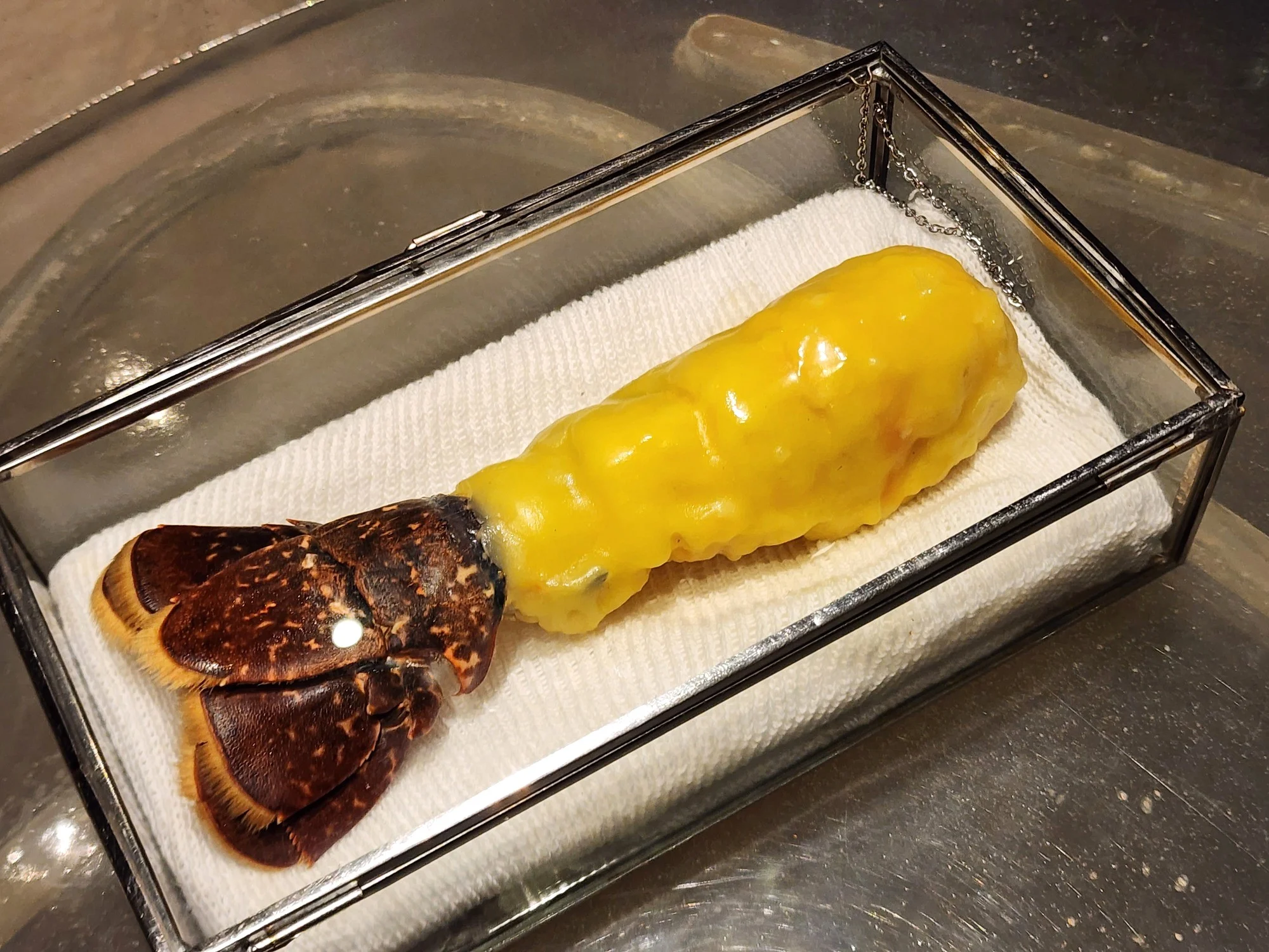 Enigma 2026. Bogavante