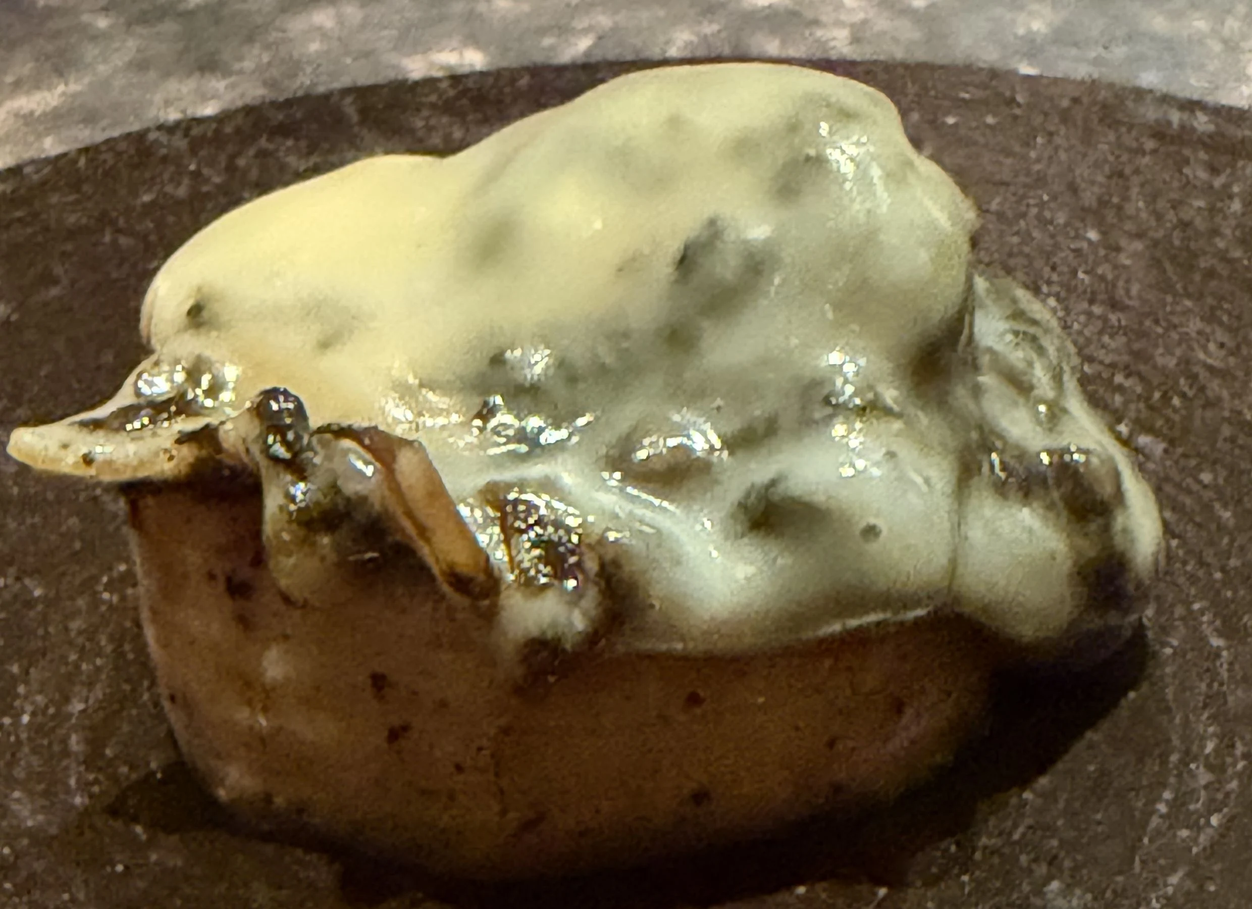 Fu He Hui, paraíso vegetal en Shanghai 2