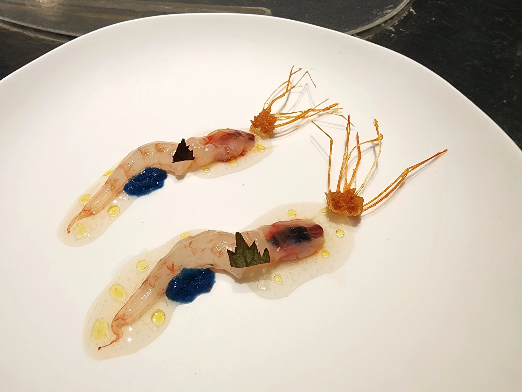 Enigma 2026. Quisquilla