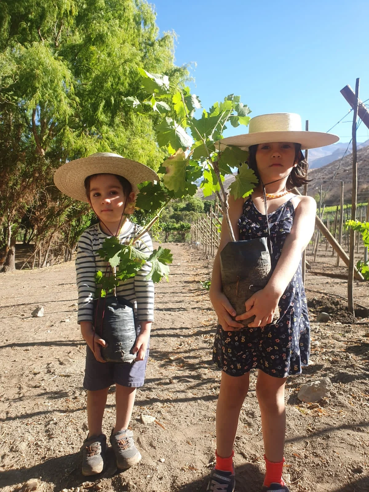 Tobias y Eloisa hijos de Sandra y Rodrigo