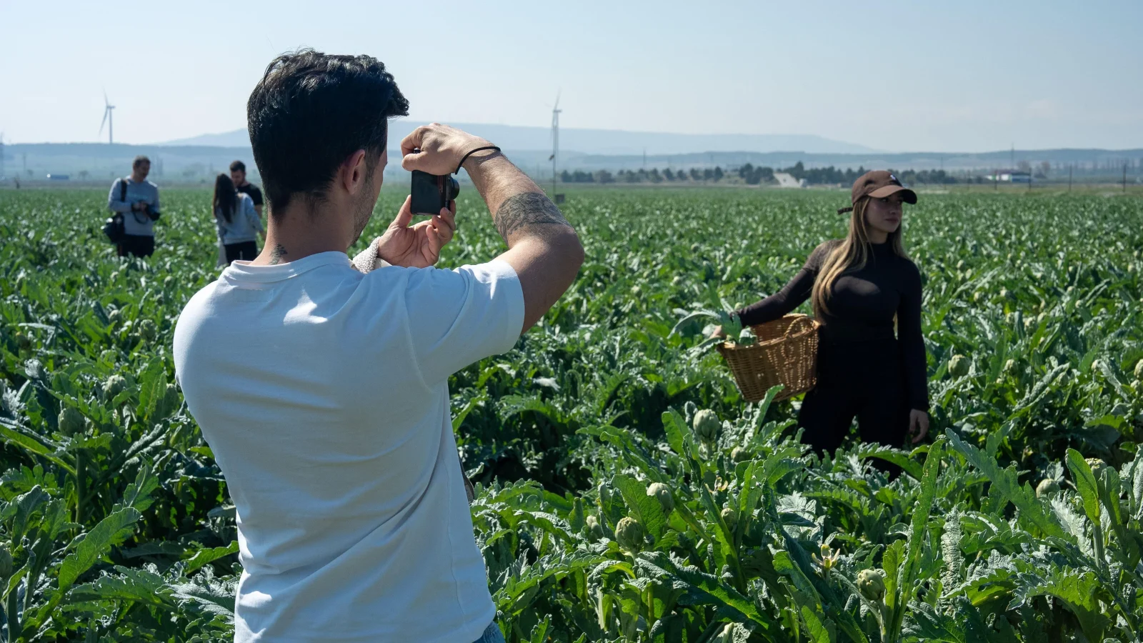 Turistas recolectando alcachofas en la huerta de Tudela durante una experiencia gastronómica.