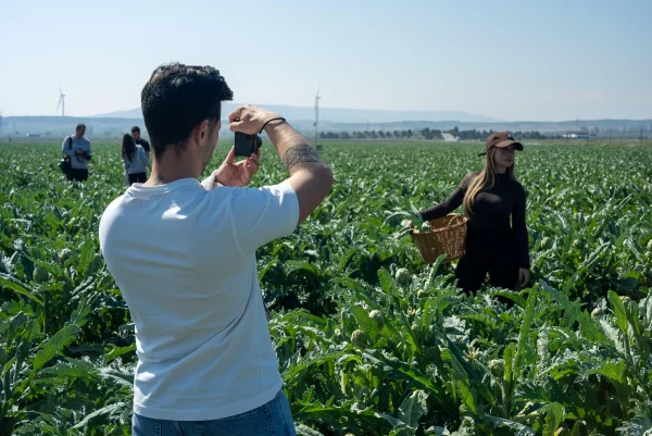 Turistas recolectando alcachofas en la huerta de Tudela durante una experiencia gastronómica.