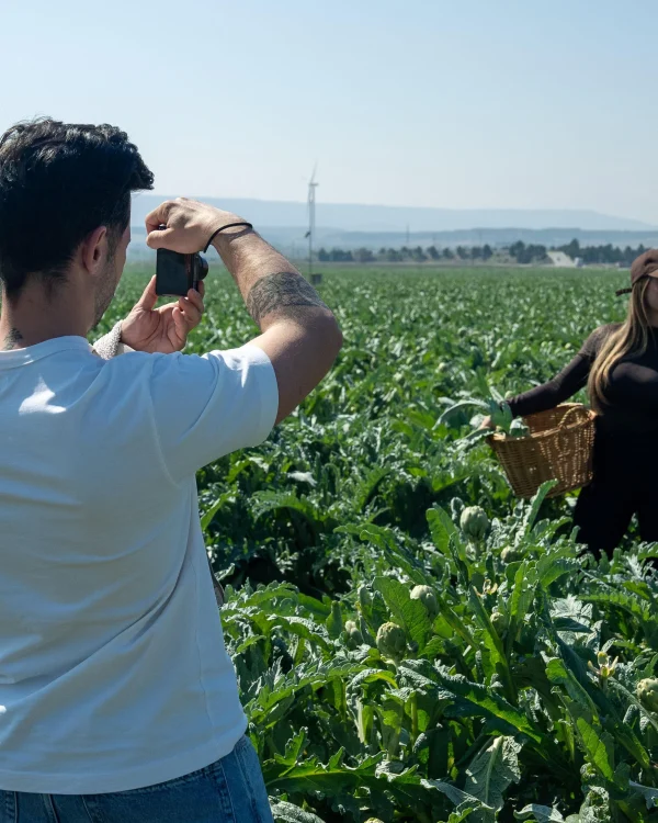 Turistas recolectando alcachofas en la huerta de Tudela durante una experiencia gastronómica.