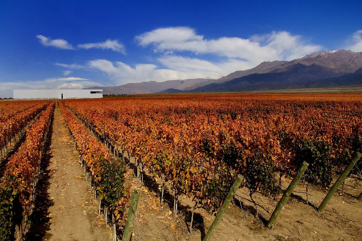 Mendoza, bodega Rolland