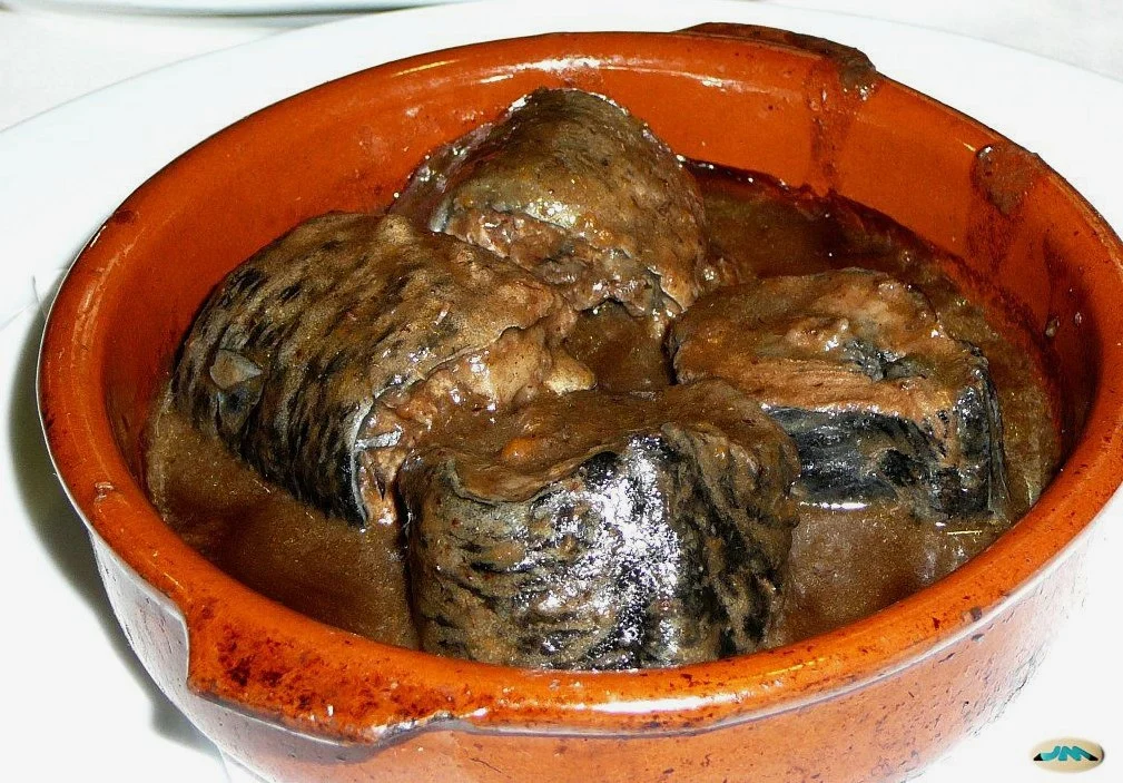 Lamprea, la emperatriz del río 5