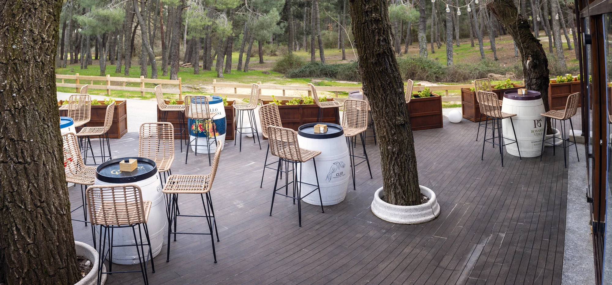 1. Ruge. Una terraza a la sombra de los pinos