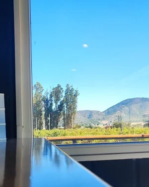 Bodega Attilio & Mochi, en Casablanca, Chile