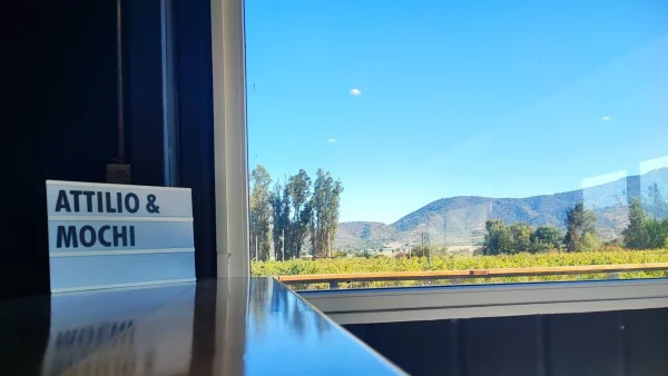 Bodega Attilio & Mochi, en Casablanca, Chile