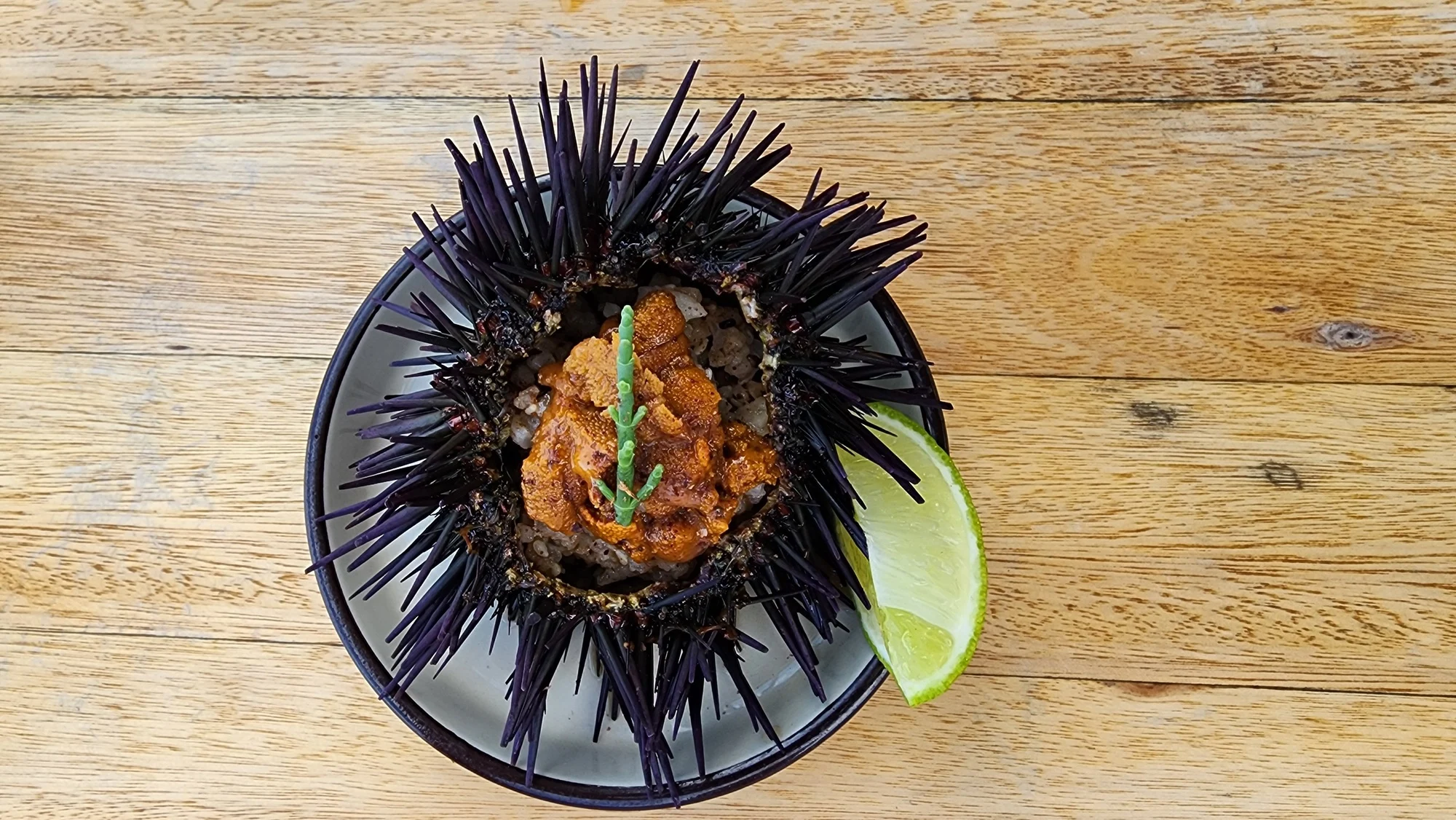 Fixi, erizos con arroz gohan