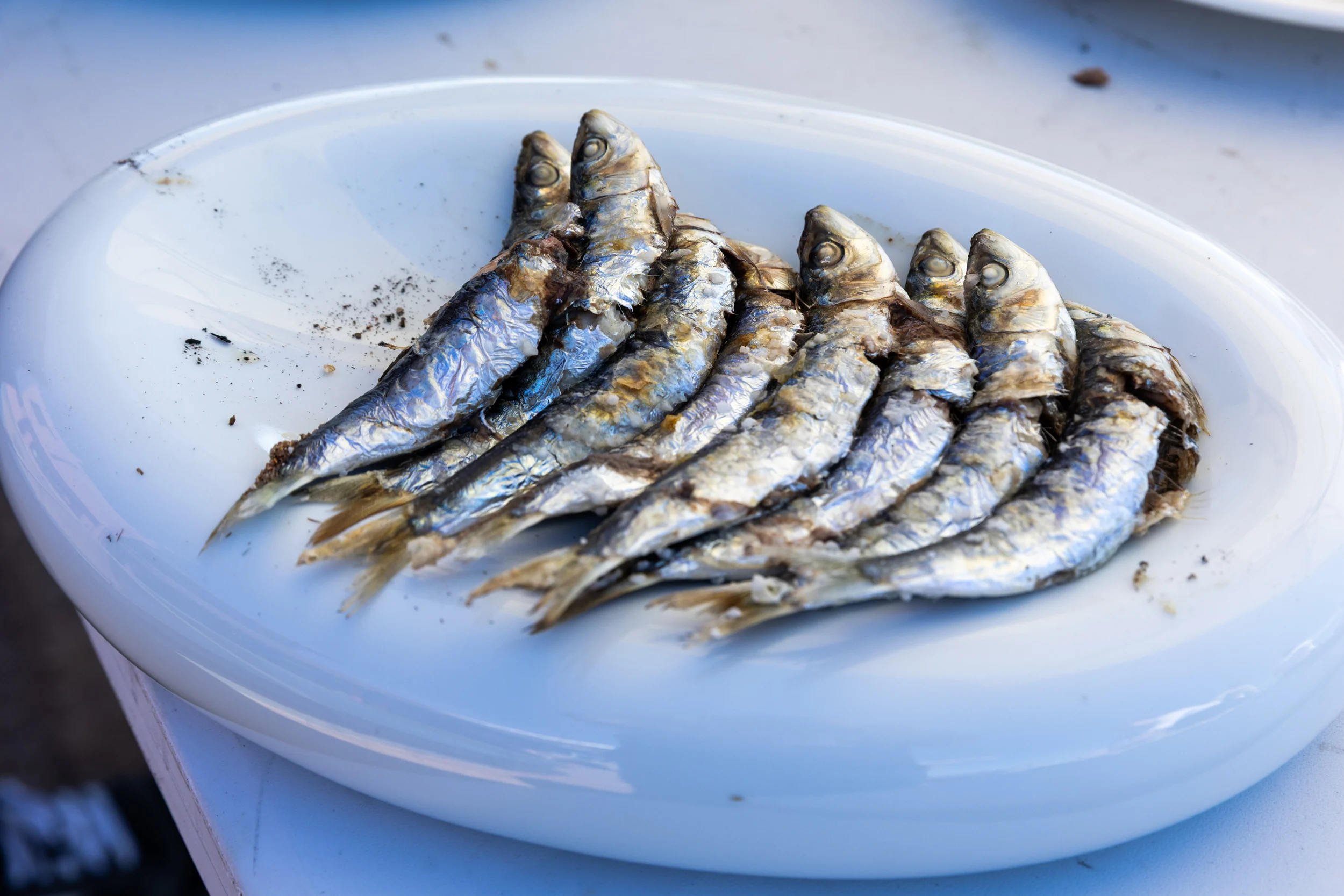 Del valor de los peces vivos 4
