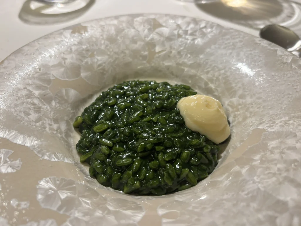 Arroz de plancton verde profundo